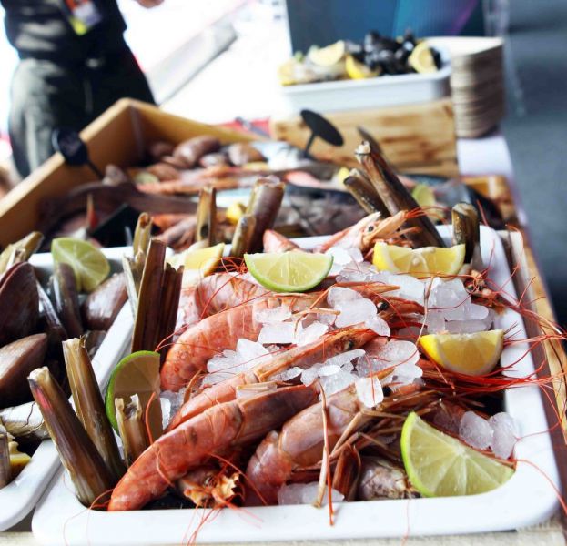 Gazprom Hungarian Open ATP 250