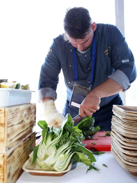 Gazprom Hungarian Open ATP 250