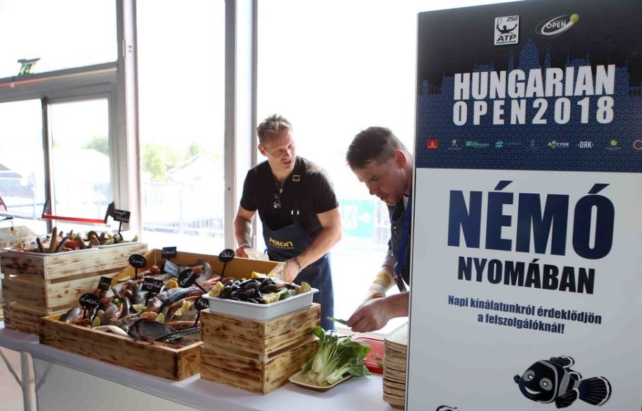 Gazprom Hungarian Open ATP 250