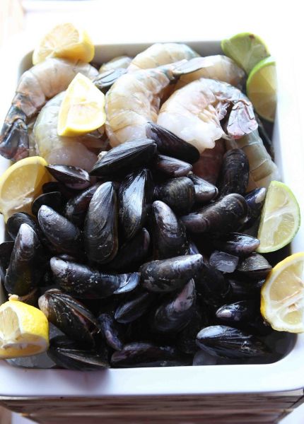 Gazprom Hungarian Open ATP 250