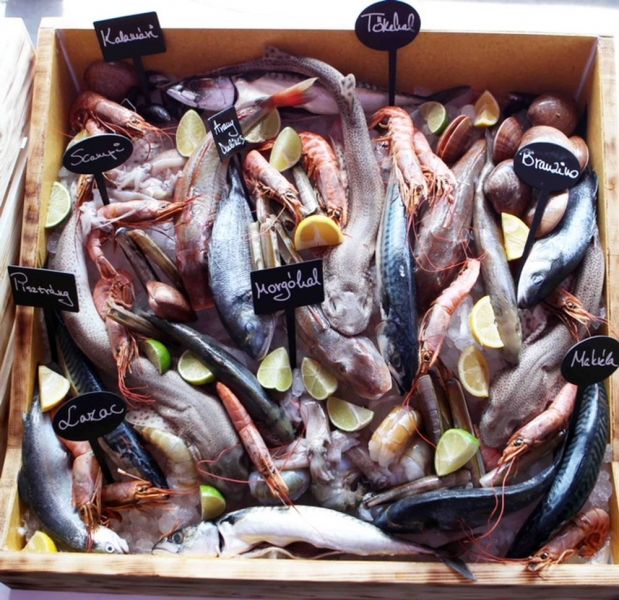 Gazprom Hungarian Open ATP 250