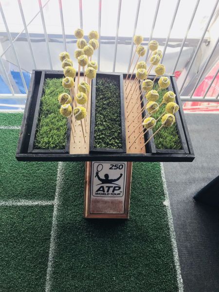 Gazprom Hungarian Open ATP 250