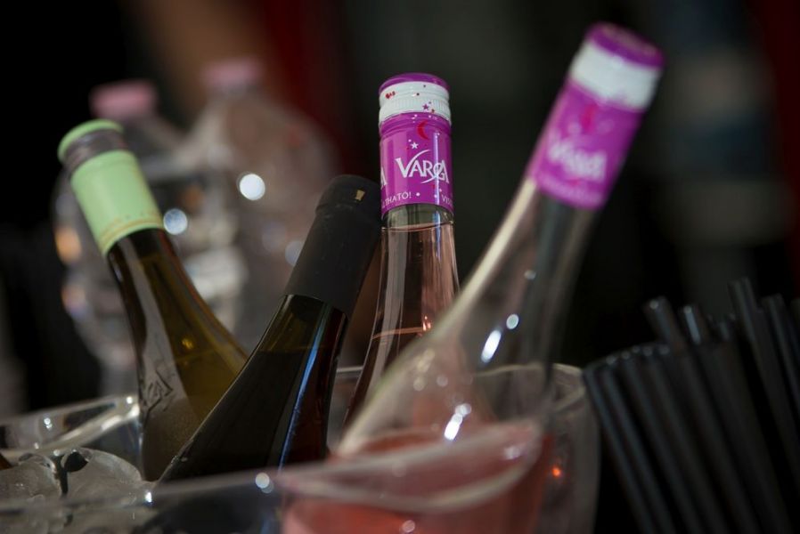 HYDRO 2000 fős családi nap