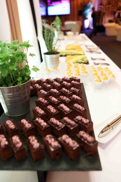 WTA Hungarian Ladies Open